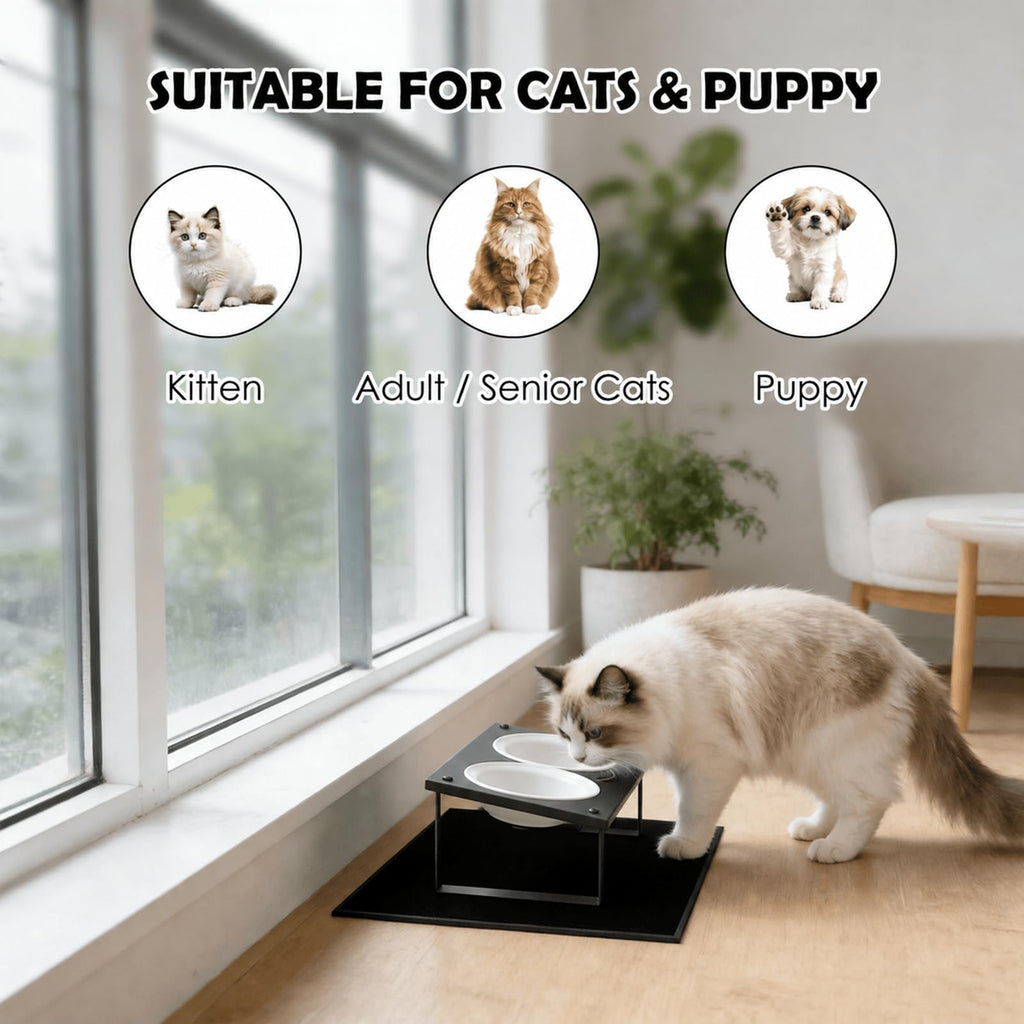 Elevated Cat Bowls with Splash Proof Mat for Kitten Puppy, 10° Tilted Raised Cat Bowl Stand Anti-Vomiting, 2 Wide Shallow Stainless Steel Bowls, Whisker Friendly, 3.5" Tall