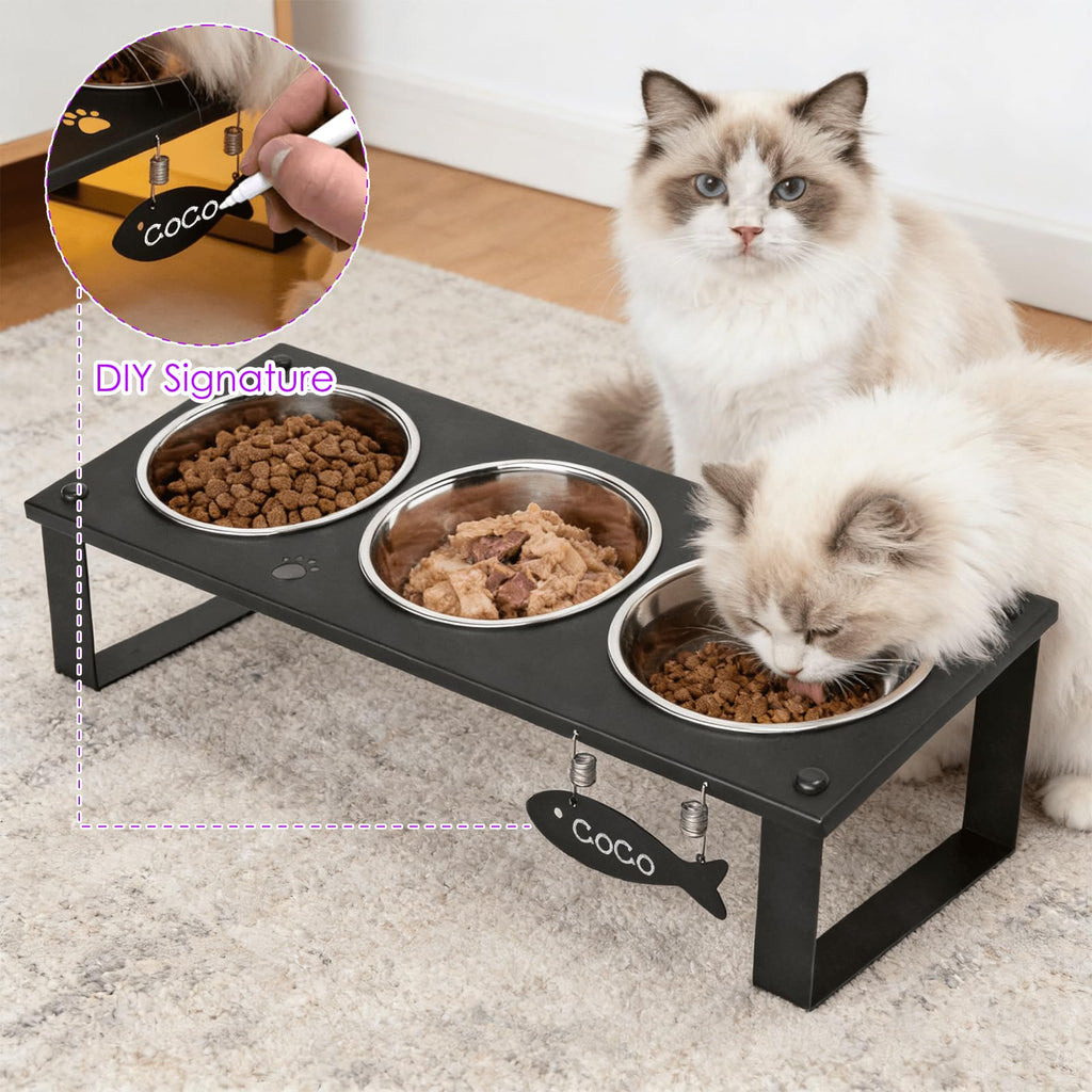 Elevated Cat Bowls with Splash Proof Mat for Kitten Puppy, 10° Tilted Raised Cat Bowl Stand Anti-Vomiting, 2 Wide Shallow Stainless Steel Bowls, Whisker Friendly, 3.5" Tall