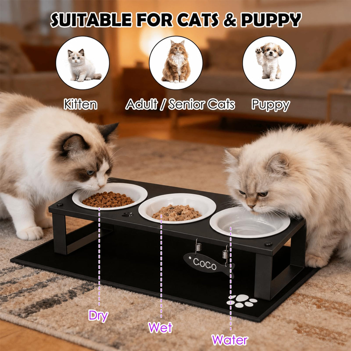 Elevated Cat Bowls with Splash Proof Mat for Kitten Puppy, 10° Tilted Raised Cat Bowl Stand Anti-Vomiting, 2 Wide Shallow Stainless Steel Bowls, Whisker Friendly, 3.5" Tall
