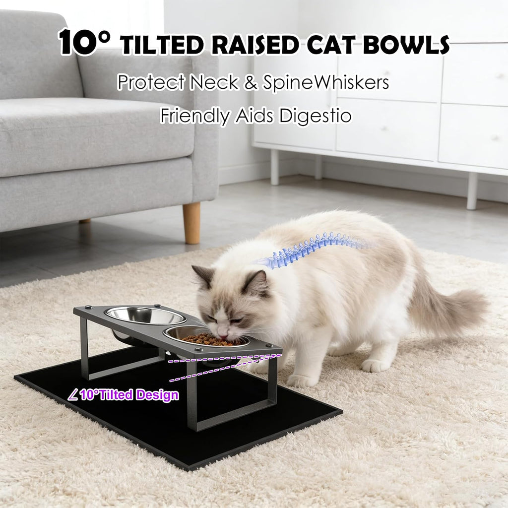 Elevated Cat Bowls with Splash Proof Mat for Kitten Puppy, 10° Tilted Raised Cat Bowl Stand Anti-Vomiting, 2 Wide Shallow Stainless Steel Bowls, Whisker Friendly, 3.5" Tall