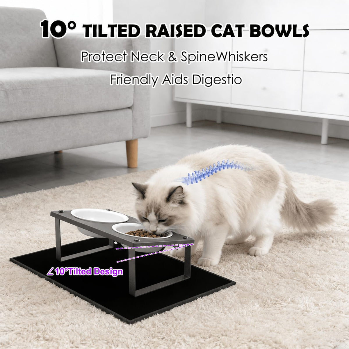 Elevated Cat Bowls with Splash Proof Mat for Kitten Puppy, 10° Tilted Raised Cat Bowl Stand Anti-Vomiting, 2 Wide Shallow Stainless Steel Bowls, Whisker Friendly, 3.5" Tall