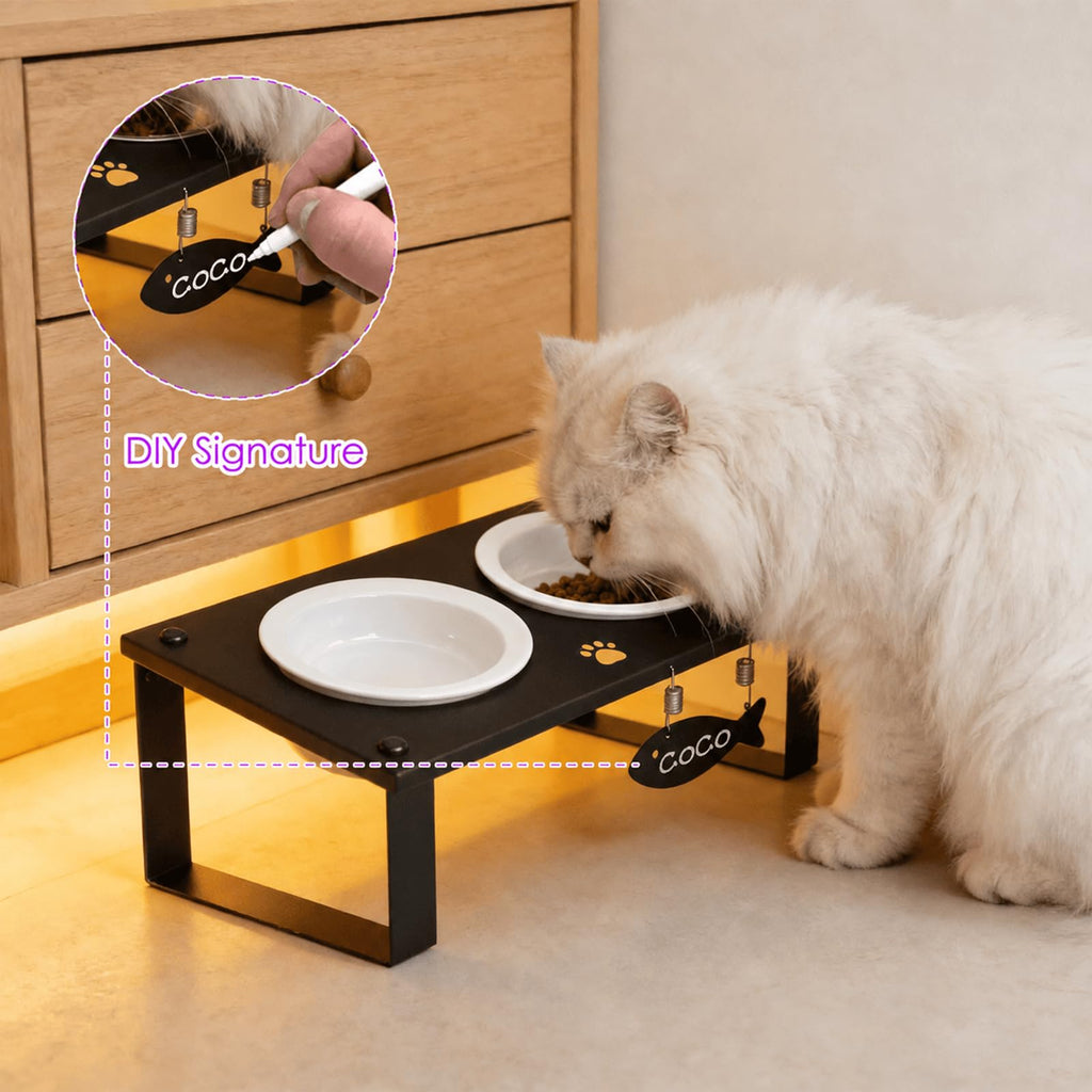 Elevated Cat Bowls with Splash Proof Mat for Kitten Puppy, 10° Tilted Raised Cat Bowl Stand Anti-Vomiting, 2 Wide Shallow Stainless Steel Bowls, Whisker Friendly, 3.5" Tall